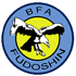 Britishi Fudoshin Association