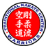 Traditional Karate Center