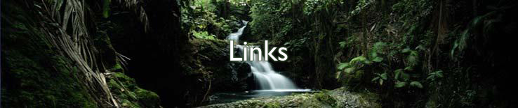 Links