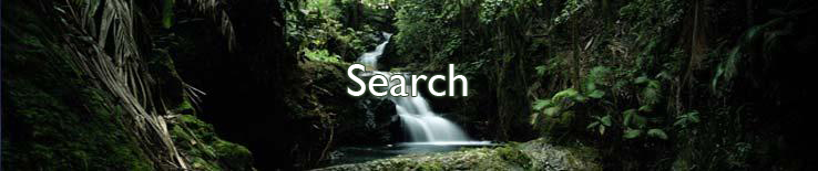 Search
