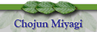 Chojun Miyagi